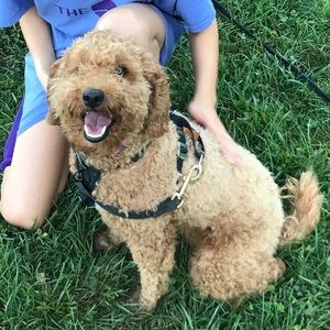 Meet your Posher, Kim